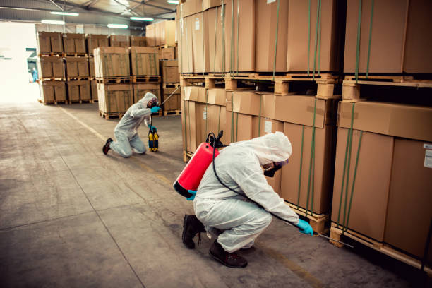 Best Mosquito Control Services  in Evadale, TX