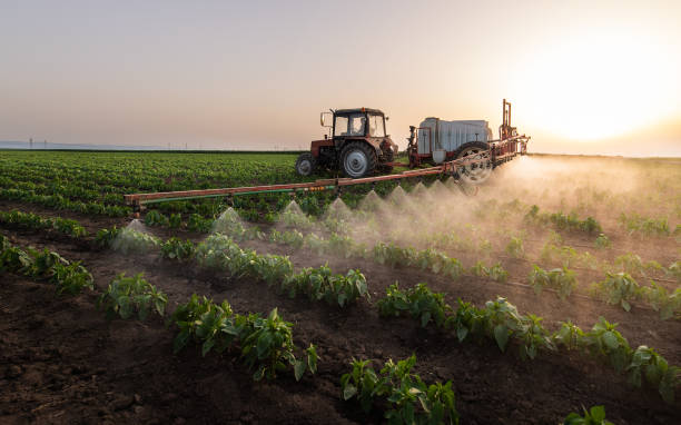 Best Pest Control Treatment  in Evadale, TX