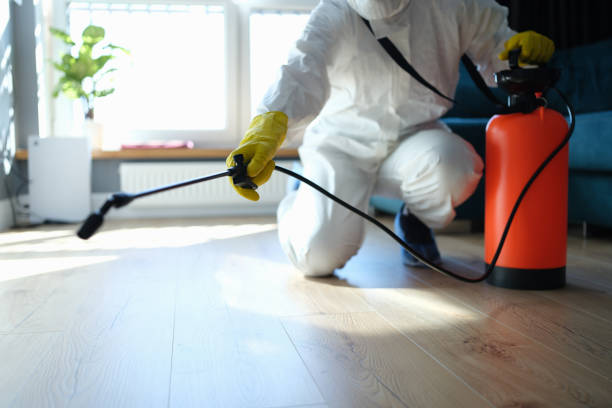 Professional Pest Control in Evadale, TX