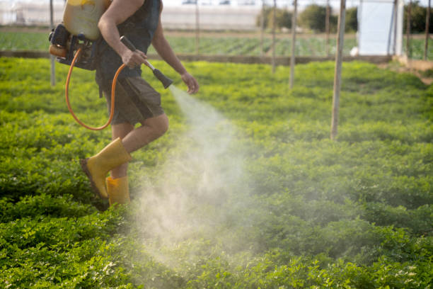 Best Exterminator Services  in Evadale, TX