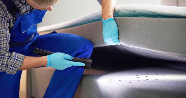Best Ant Control Services  in Evadale, TX
