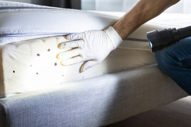 Pest Control for Restaurants in Evadale, TX