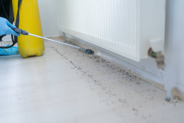 Best Best Pest Control Companies  in Evadale, TX
