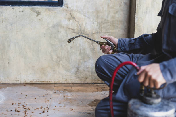 Best Emergency Pest Control  in Evadale, TX